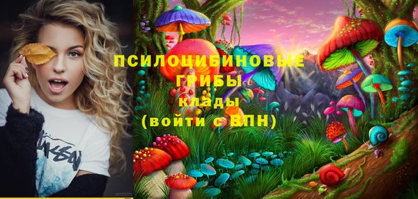 ГАЛЛЮЦИНОГЕННЫЕ ГРИБЫ Бородино