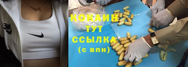 ГАЛЛЮЦИНОГЕННЫЕ ГРИБЫ Бородино