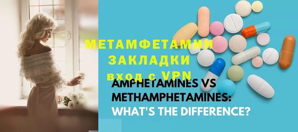 ГАЛЛЮЦИНОГЕННЫЕ ГРИБЫ Бородино