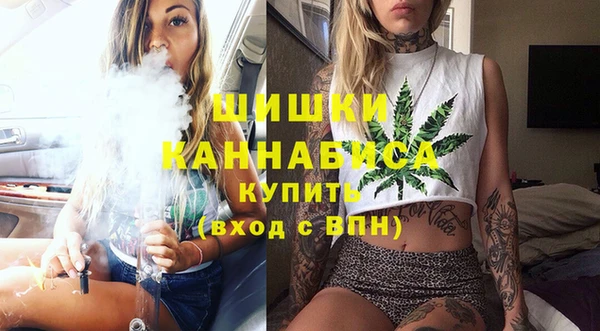 ГАЛЛЮЦИНОГЕННЫЕ ГРИБЫ Бородино