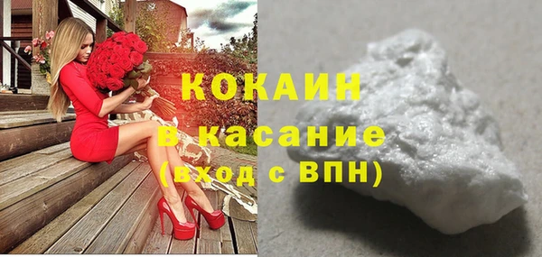 ГАЛЛЮЦИНОГЕННЫЕ ГРИБЫ Бородино