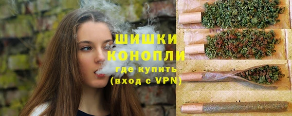 соль ск Бронницы