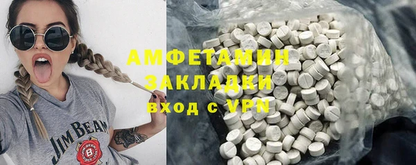 ГАЛЛЮЦИНОГЕННЫЕ ГРИБЫ Бородино
