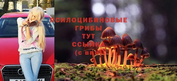 соль ск Бронницы
