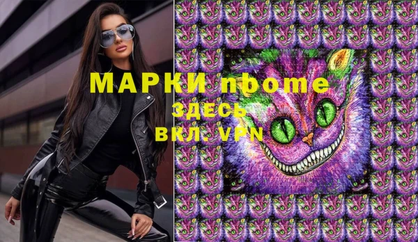 ГАЛЛЮЦИНОГЕННЫЕ ГРИБЫ Бородино